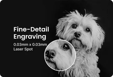 Fine-Detail Engraving. 0.03mm x 0.03mm Laser Spot